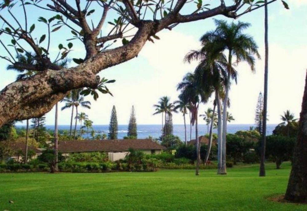 Hana-Maui Resort, a Destination by Hyatt Residence Image 30