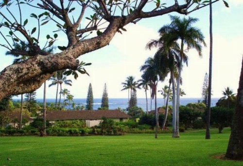 Hana-Maui Resort, a Destination by Hyatt Residence image 30