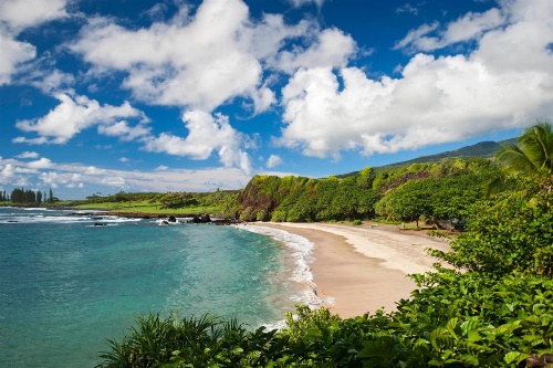 Hana-Maui Resort, a Destination by Hyatt Residence image 6